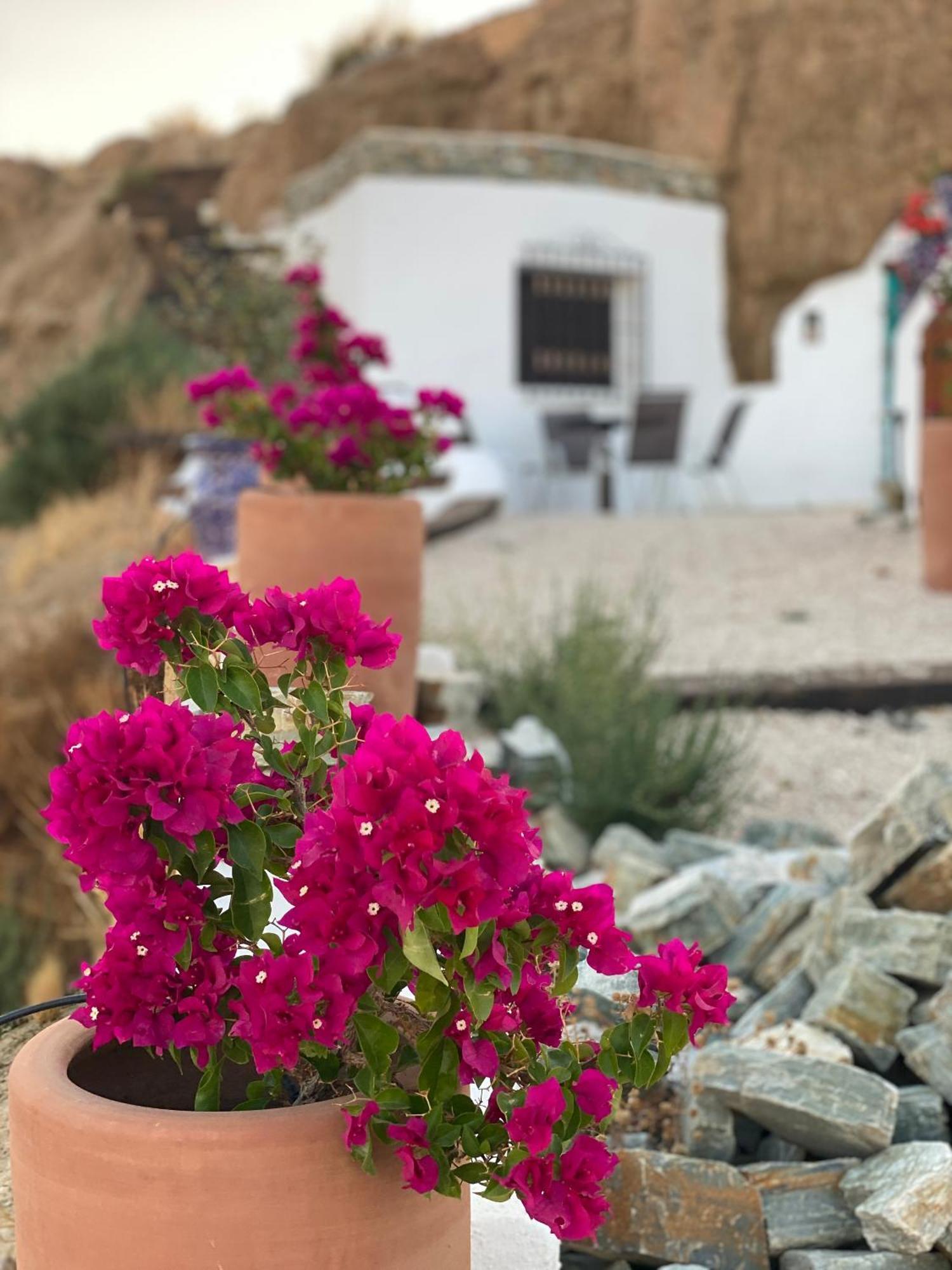 Cuevas Oro Y Arcilla Guadix